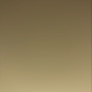 Meet your Posher, Bianca